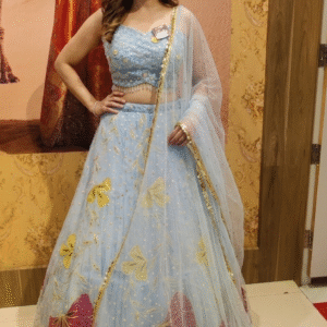 🩵✨Elegant Light Blue Lehenga Choli with Floral Applique🩵✨